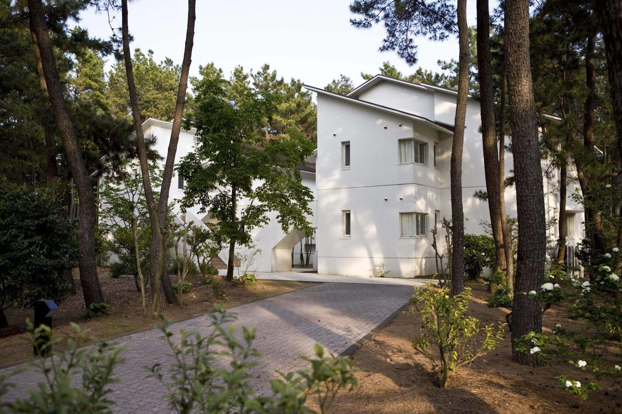 Cottage Himuka Miyazaki Exterior foto